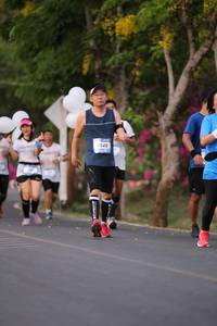 BIB: 546
                            <button type="button" onclick="openModal(3498471)" class="btn btn-primary btn-sm float-right btn-popup" data-toggle="modal" data-target=".modal-high-quality">
                        <i class="fas fa-shopping-cart"></i> Add to Cart
                    </button>
                                            <button type="button" onclick="isThisMe(3498471, true)" class="btn btn-success btn-sm float-right btn-popup btn-isme hidden" data-toggle="tooltip" data-placement="bottom" title="นี่คือรูปของคุณใช่ไหม คลิกที่นี่เพื่อเอาเข้าอัลบั้ม">
                        <i class="fas fa-plus"></i> Add to album
                    </button>
                    <button type="button" onclick="isThisMe(3498471, false)" class="btn btn-warning btn-sm float-right btn-popup btn-isnotme hidden">
                        <i class="fas fa-ban"></i> Remove from album
                    </button>